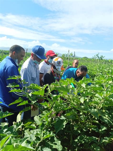 Agricultura Destaca Labor Cedaf En La Capacitaci N De Su Personal T Cnico