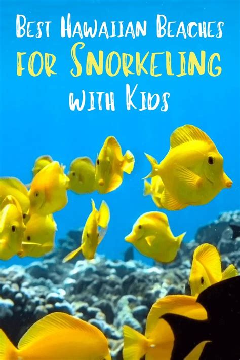 The Best Hawaiian Beaches for Snorkeling with Kids | Hawaiian beaches ...