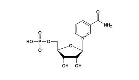 Abc About Nicotinamide Mononucleotide Nmn Hello