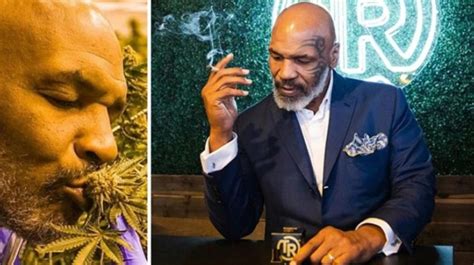 Alasan Mike Tyson Membangun Bisnis Ganja Dari Hobi Hingga Cuan Besar