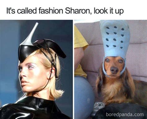 Fashion Memes 48 Pics