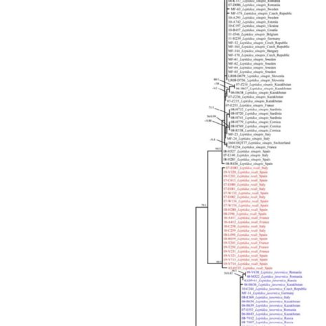 Fig S Maximum Likelihood Tree Of The Combined Dataset Of