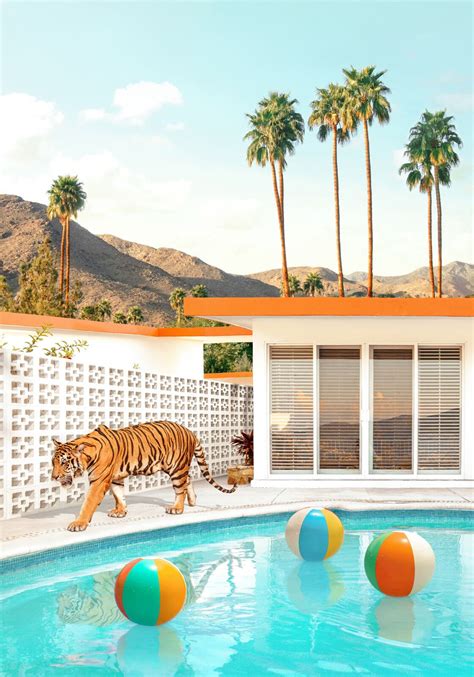 Pool Desert Tiger By Paul Fuentes Lumas Miami Beach Sunny Beach