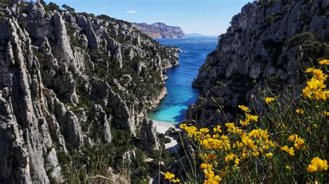 Avenir du Parc national des Calanques plus de 3 000 réponses TPBM