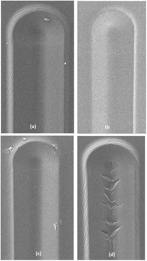 SEM Micrographs After Scratch Testing Of PBI Coated Panel After