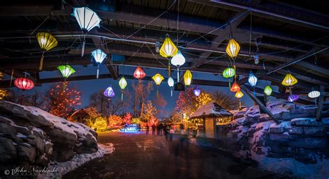 Zoo Lights at the Denver Zoo - Photos