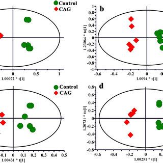 Opls Da Scores Plots From The Cag Rats And The Controls In Serum A