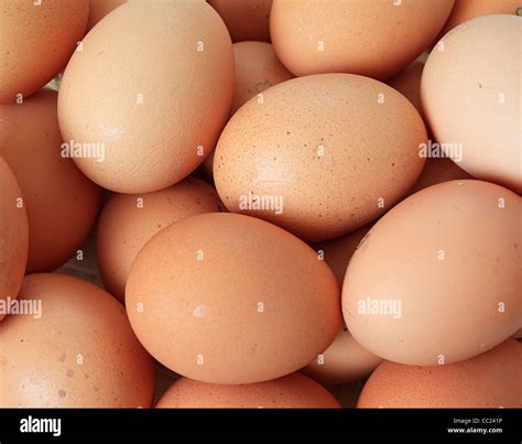 Group Brown Chicken Egg Stock Photo Alamy