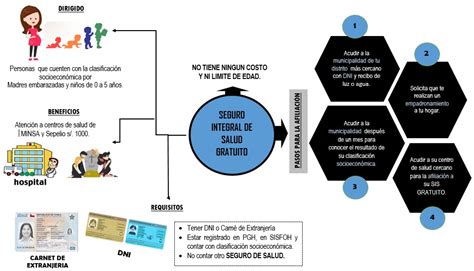 Mapa Conceptual Qu Es Seguro Integral De Salud Gratuito Mapas The