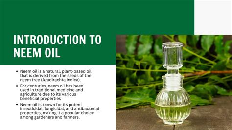 Ppt The Power Of Neem Oil Boost Plant Immunity Powerpoint