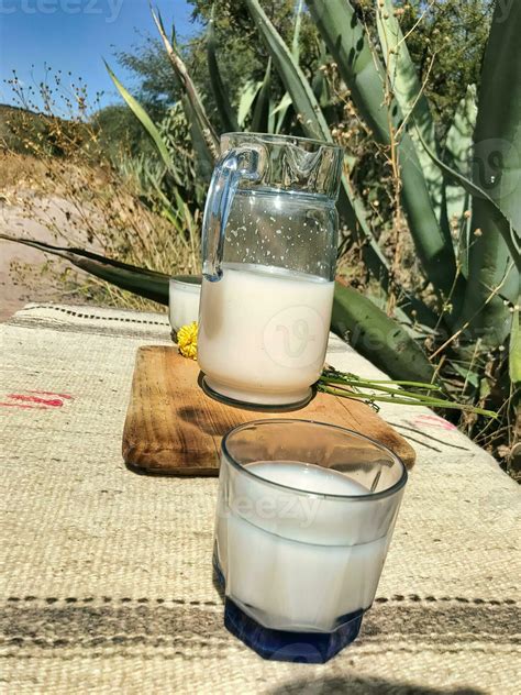 Savor The Flavors Of Mexico With Pulque A Refreshing Maguey Drink