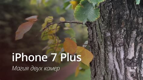 iPhone 7 Plus - съемка с эффектом глубины - YouTube