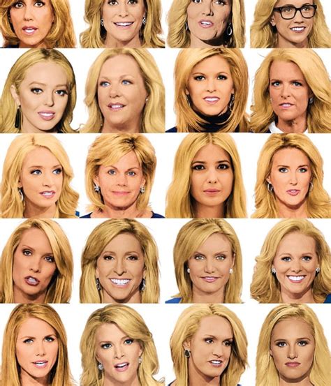 PHOTO All Of Fox News' Blonde Haired Contributors Meme