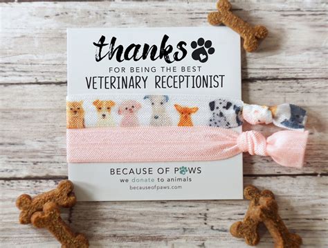 Veterinary Receptionist Thank You Vet Office Gifts Under Etsy