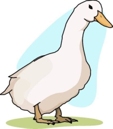 mother duck clipart - Clip Art Library