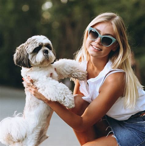 Ветеринарная клиника в пгт. Почтовое - Ветоберег