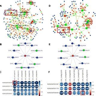 Differential Expression Profiling Of Lncrnas Mirnas And Mrnas In Wd