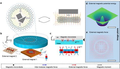 Controlling Two Dimensional Collective Formation And Cooperative