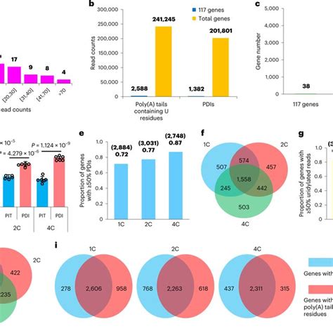 Profiles Of MRNA Poly A Tail Length In Human Oocytes And Early