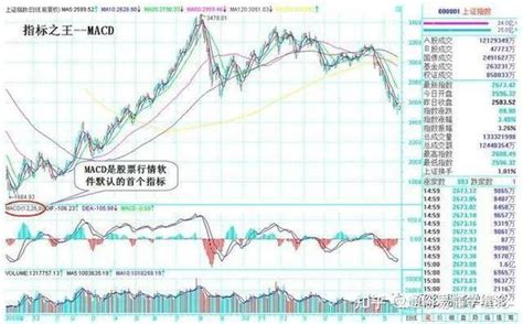 全网最详细的macd指标金叉和死叉的图解 知乎