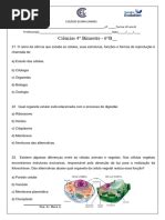 Atividade Adaptada Sobre Células 6 Ano - Atividade Adaptada - 6 Ano - Tipos de Células | PDF | Bem-estar