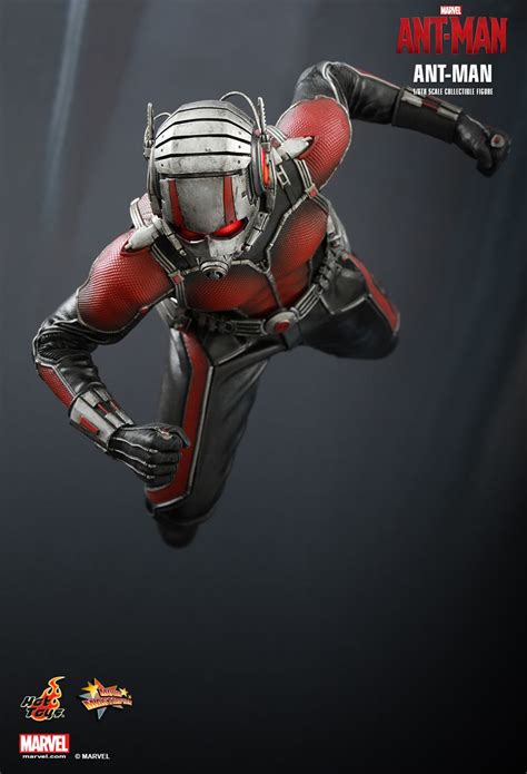 Toyhaven Check Out The Awesomeness Of Hot Toys MMS Th Scale Ant Man Collectible Figure