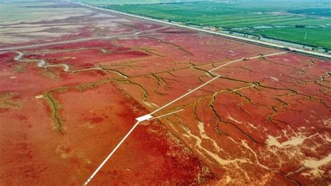 Foto Pantai Merah Yang Bukan Pantai Di China