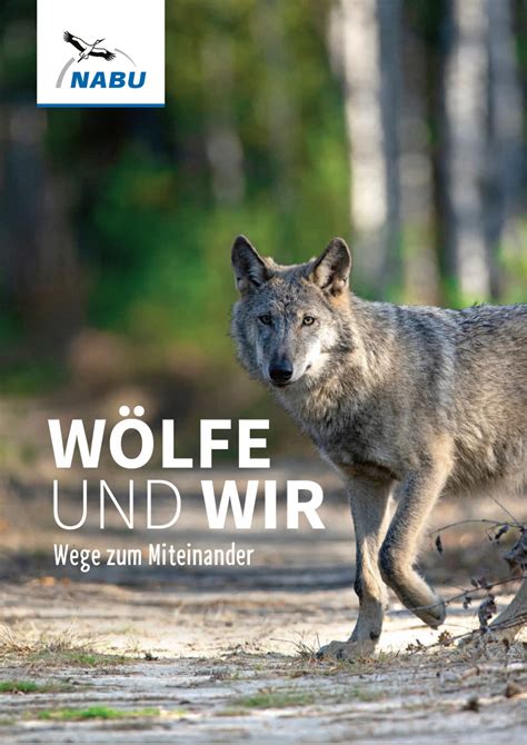 Landesfachausschuss Wolf In Nrw Nabu Infomaterial