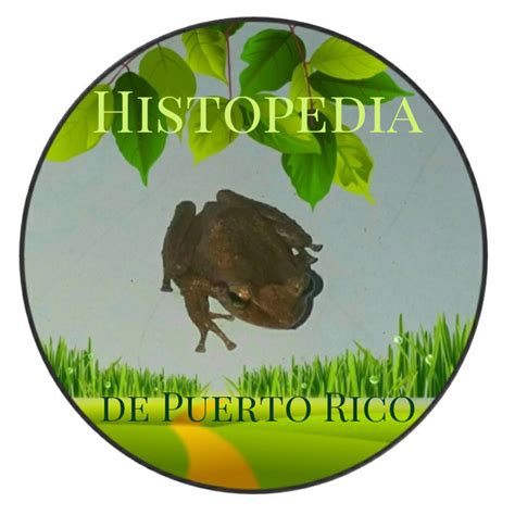 Himno de Puerto Rico: Historia, Letra y Música