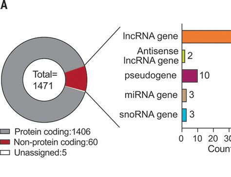 The Gut Microbiota Reprograms Intestinal Lipid Metabolism Through Long