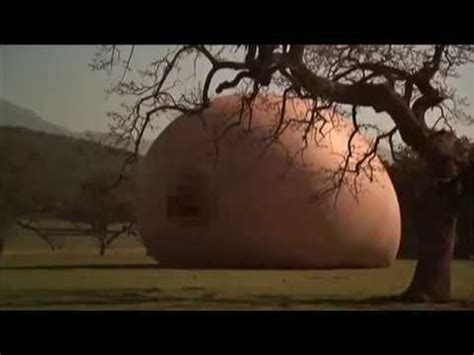 Everything You Always Wanted To Know About Sex But Were Afraid To Ask