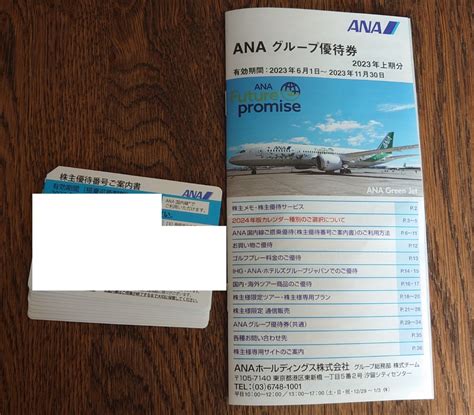 Yahooオークション Ana 全日空 株主優待券 10枚 使用期限2024年5月3