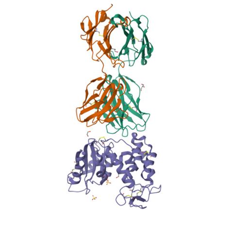 RCSB PDB - 8BYU: Crystal Structure of HexaBody-CD38 Fab in complex with ... 