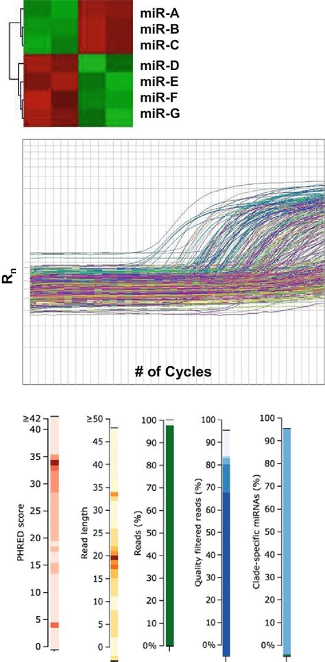 An Illustration Of Mirna Profiling Results A A Heat Map