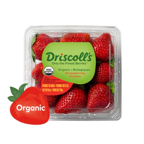 Buy Driscoll S Organic Fresh Strawberries 250 G Delivered By Taw9eel