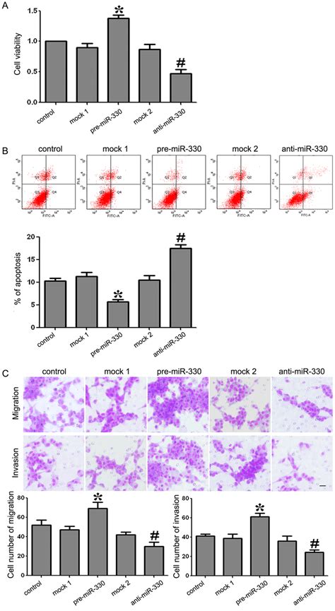 Proliferation Apoptosis Migration And Invasion Of Gscs Transfected