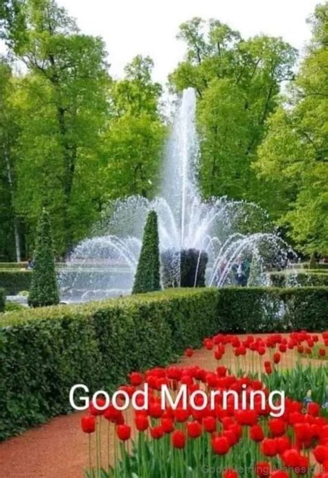 good morning scenery images good morning wishes