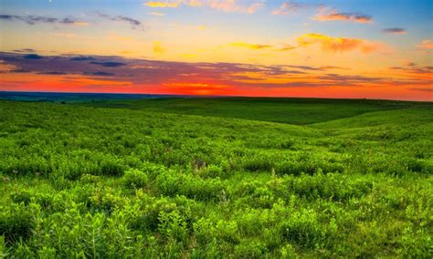 Туры в США: что посмотреть. Путеводитель с ценами на отдых | tripmydream