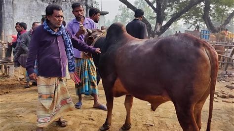 আজ ১১ ডিসেম্বর চট্টগ্রামের খামারী কেমন দামে মাংসের ওজন সহ বড় বড়