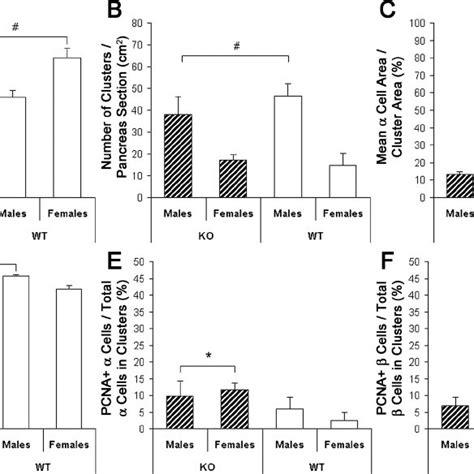 Morphometric Analysis Of Adult Clusters After All Endocrine Cell