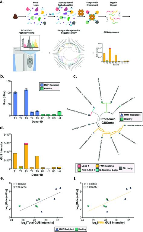 A Activity Based Probe Enabled Proteomic Pipeline B Ex Vivo Download Scientific Diagram