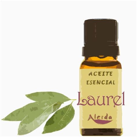 Aceite Esencial De Laurel