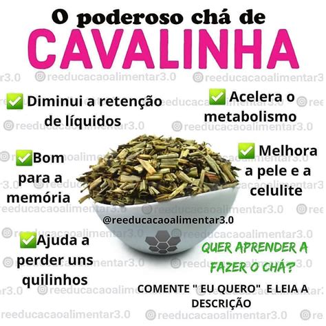 Lowcarb Simples On Instagram Benef Cios Do Ch De Cavalinha