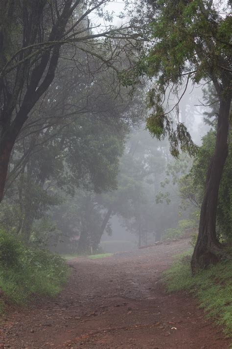 Rainy Season in Kenya [1365x2048][oc] : r/EarthPorn