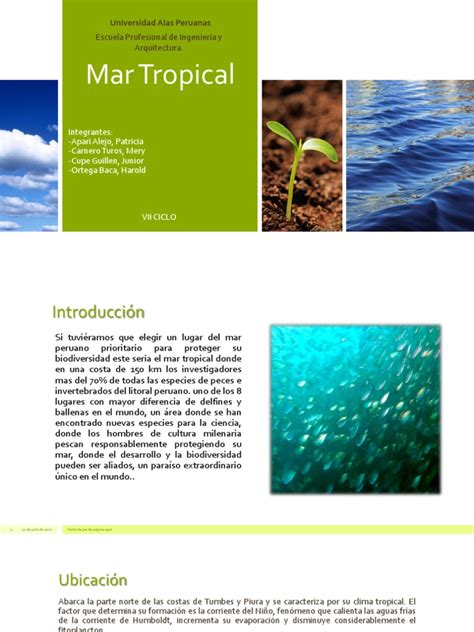 Pdf Mar Tropical Diapo Pptx Dokumen Tips