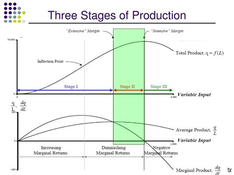 Three Stages Of Production Function With Diagram Production