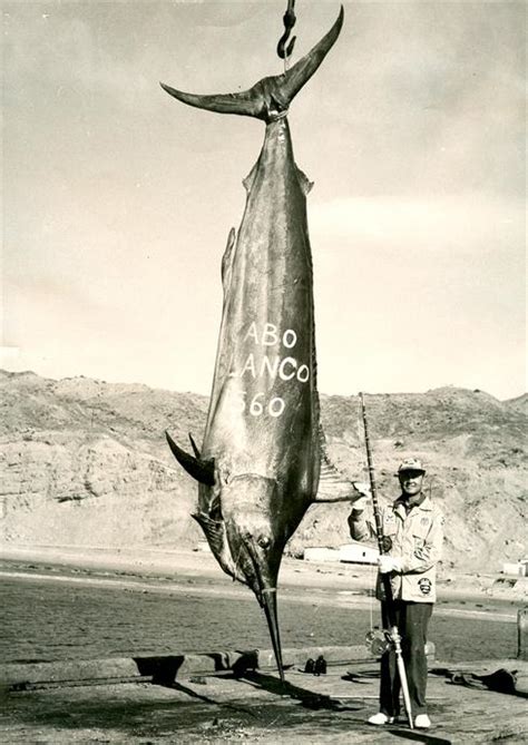 Worlds Largest Fish Ever Caught On Rod And Reel