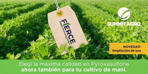 Ampliación de uso Fierce RM en maní Summit Agro Argentina