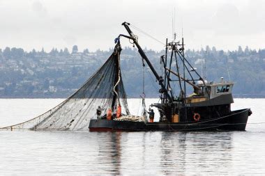 commercial fishing boats