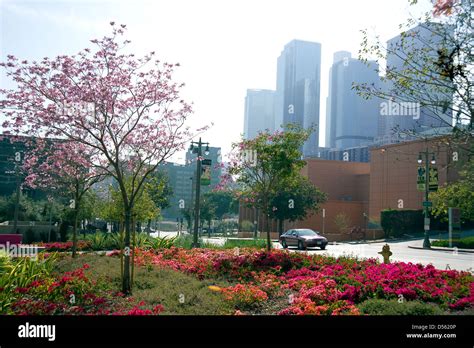 Colorful Park In Downtown Los Angeles Civic Center Stock Photo Alamy